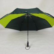 umbrella-2